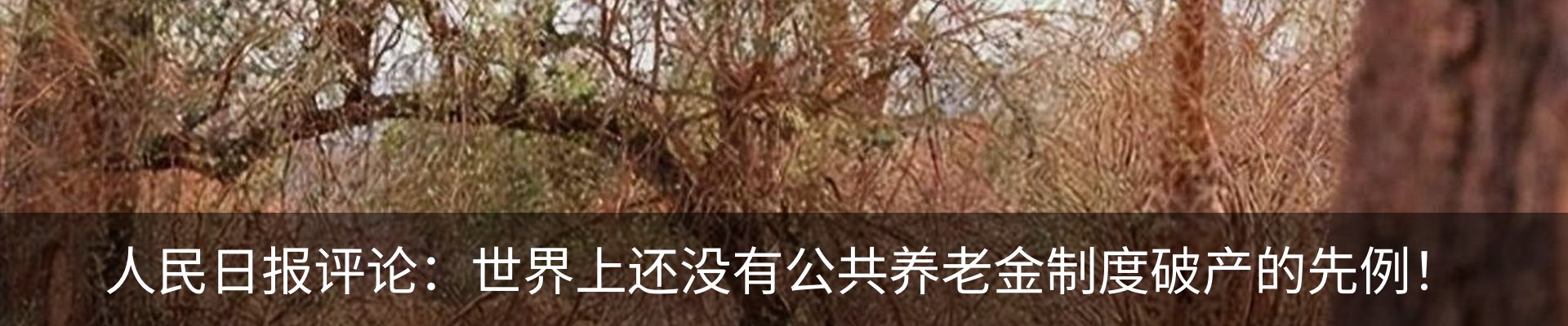 资讯中心