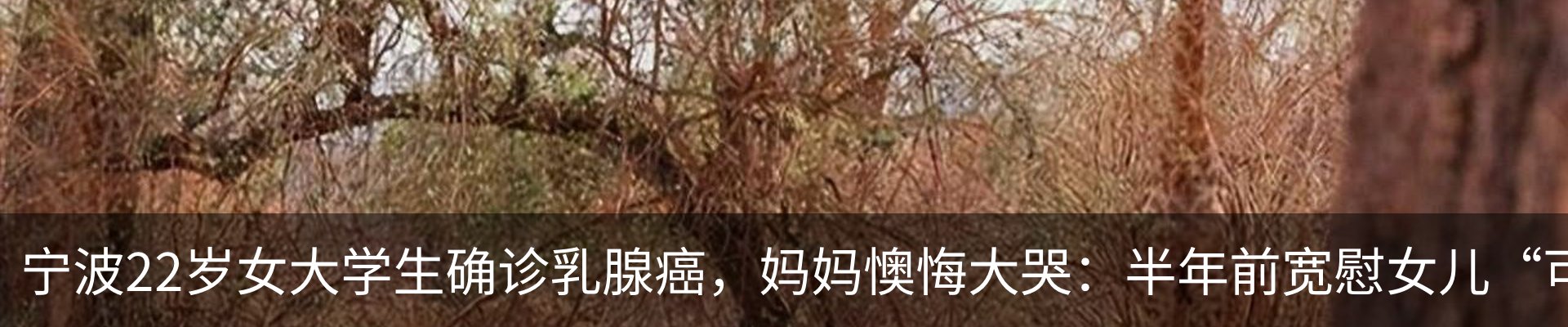 资讯中心