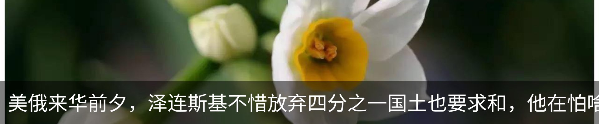资讯中心