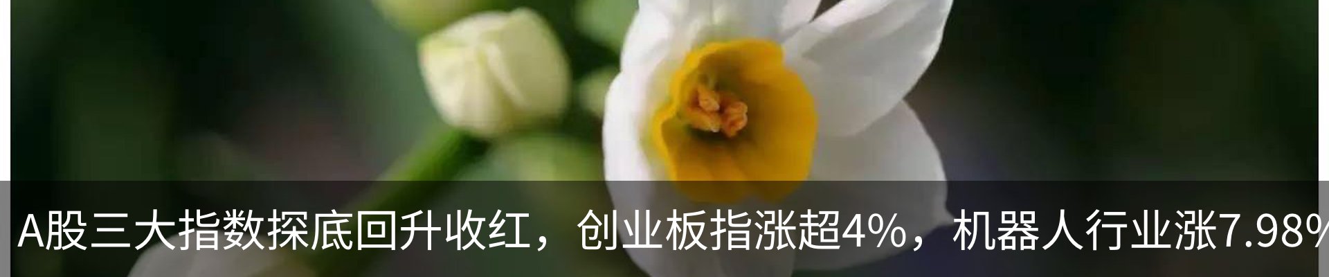 资讯中心
